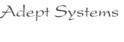 Adept Systems Management Consultants